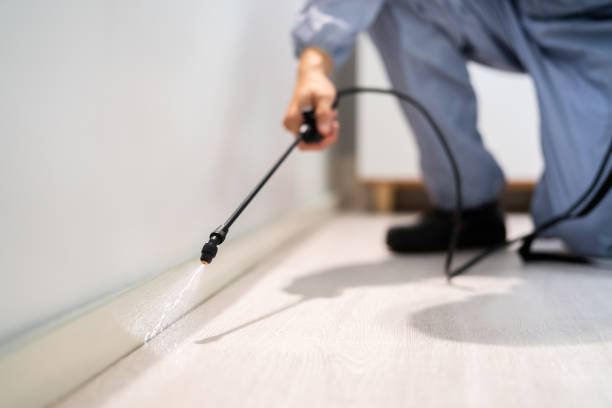 Certified termite inspector examining foundation in Creola