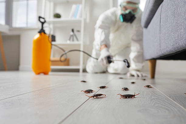 Commercial Kitchen Cockroach Control in Creola